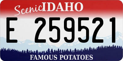 ID license plate E259521