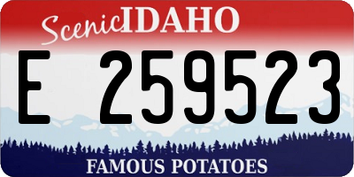 ID license plate E259523