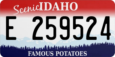 ID license plate E259524