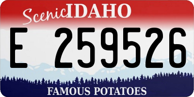 ID license plate E259526