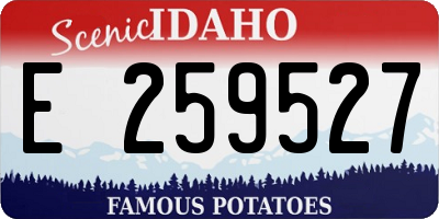 ID license plate E259527