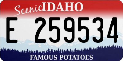 ID license plate E259534