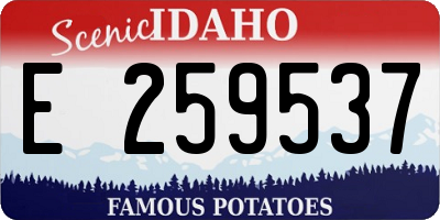 ID license plate E259537