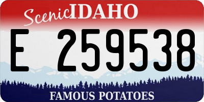 ID license plate E259538
