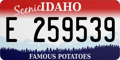 ID license plate E259539