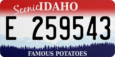 ID license plate E259543