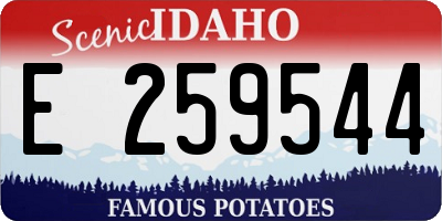 ID license plate E259544