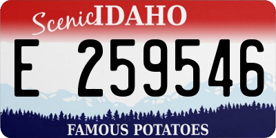 ID license plate E259546