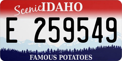 ID license plate E259549