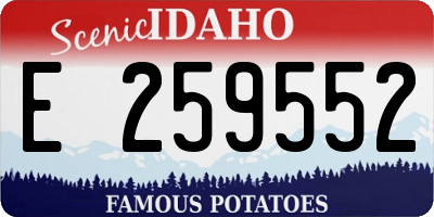 ID license plate E259552
