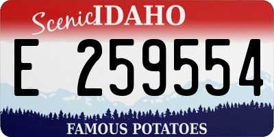 ID license plate E259554