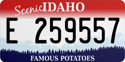 ID license plate E259557