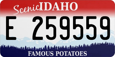 ID license plate E259559