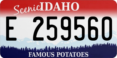 ID license plate E259560