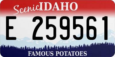 ID license plate E259561
