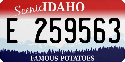 ID license plate E259563
