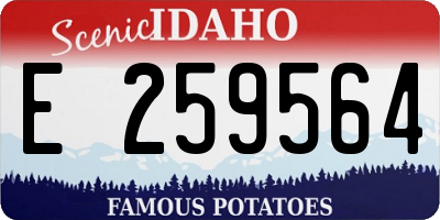 ID license plate E259564