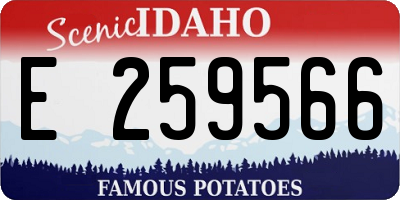 ID license plate E259566