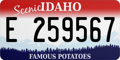 ID license plate E259567