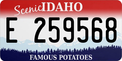 ID license plate E259568