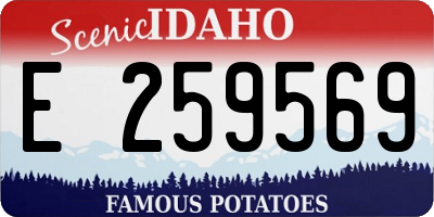 ID license plate E259569