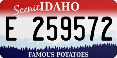 ID license plate E259572
