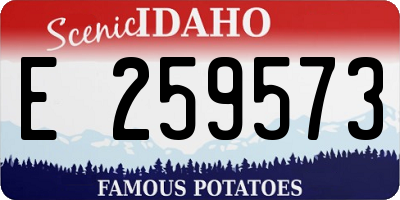 ID license plate E259573