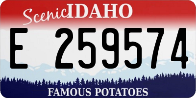 ID license plate E259574
