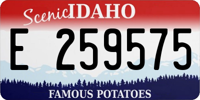 ID license plate E259575