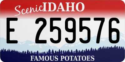 ID license plate E259576