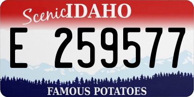 ID license plate E259577