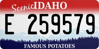 ID license plate E259579