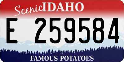 ID license plate E259584