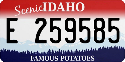 ID license plate E259585