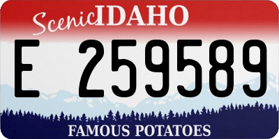 ID license plate E259589