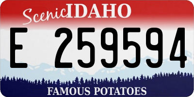 ID license plate E259594