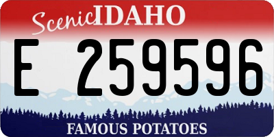 ID license plate E259596