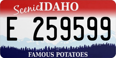 ID license plate E259599