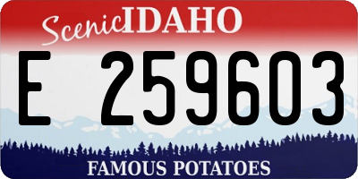 ID license plate E259603