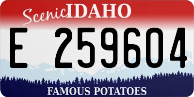 ID license plate E259604