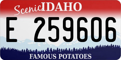ID license plate E259606