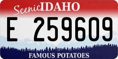 ID license plate E259609