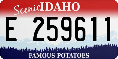 ID license plate E259611