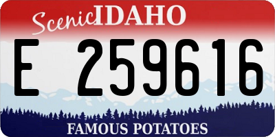 ID license plate E259616