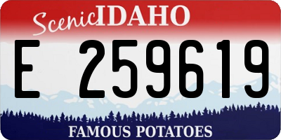 ID license plate E259619