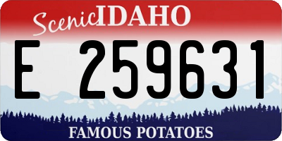 ID license plate E259631