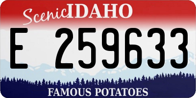 ID license plate E259633