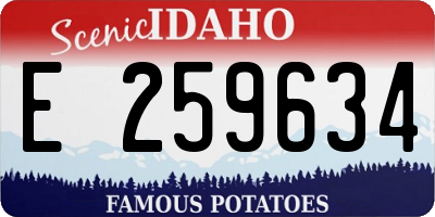 ID license plate E259634