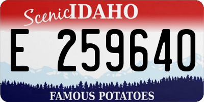 ID license plate E259640
