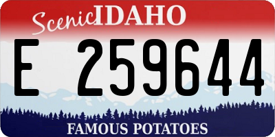 ID license plate E259644
